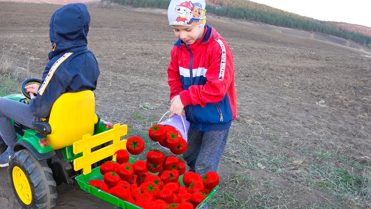 Damian and Darius have sown tomato seeds and filled the Tractor with vegetables