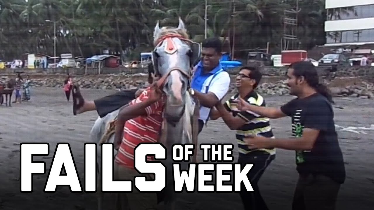 Horsing Around: Fails Of The Week (Augus...